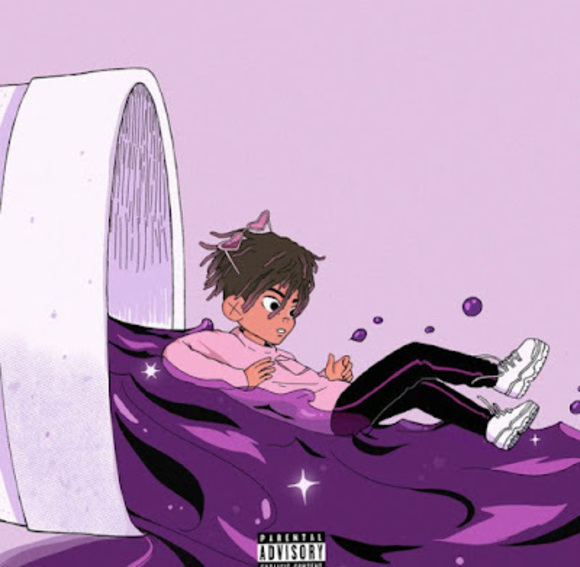 Meet your Posher, Donovan - Picture 1 of 1